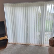 Door vertical blinds
